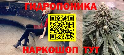 шишки Волгодонск