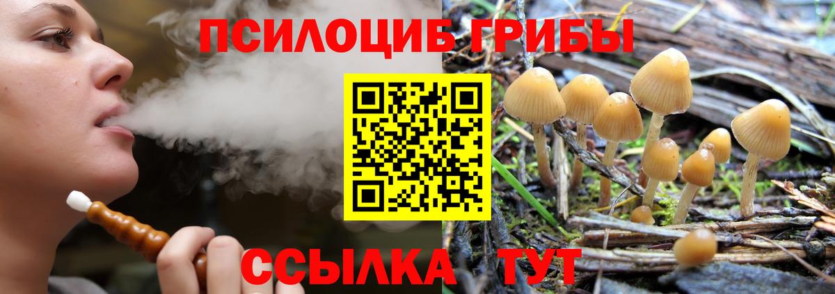 купить закладку  Псилоцибиновые грибы Psilocybine cubensis  Вход с VPN  Сатка 
